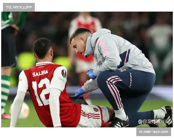 阿森纳防守韧性升级：萨利巴加布里埃尔组合解围率89%